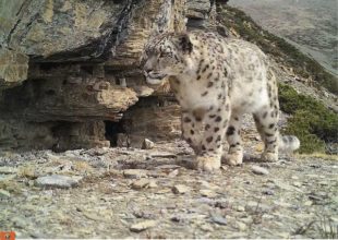 Nepal_Tashi-Ghale-S.L.-copy